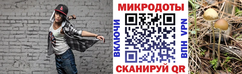 Псилоцибиновые грибы ЛСД Называевск